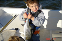 FBGS - Striper Fishing