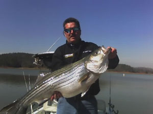 Lake Allatoona - Robert Eidson