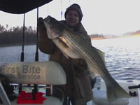 Lake Allatoona Fishing Guide