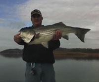 Lake Allatoona Fishing Guides