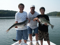 Hybrid and Striper Fishing Guides