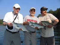 Lake Allatoona Fishing Guide Service