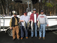 Lake Allatoona Hybrid and Striper Fishing