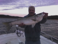 Allatoona Lake Striper Fishing Guide